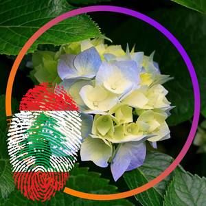 Meet your Posher, Zeina